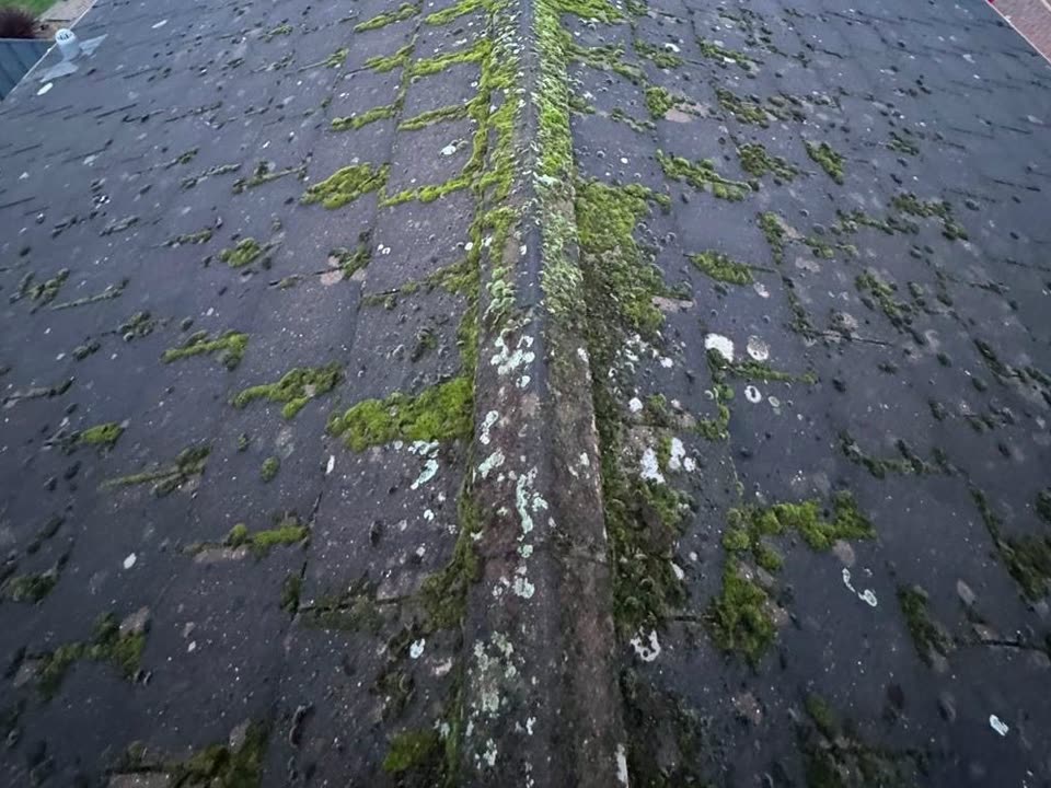 Concrete tile roof with moss along the ridge and across both slopes, before cleaning