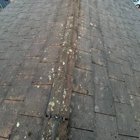 Roof after cleaning, moss cleared from both slopes and the ridge